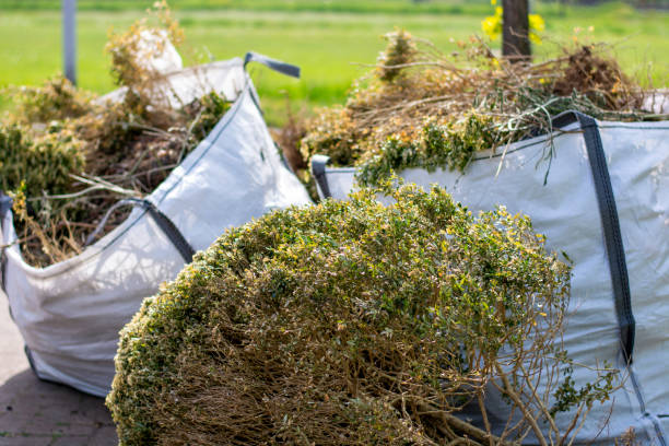 Best Basement Cleanout Services  in Northlakes, NC